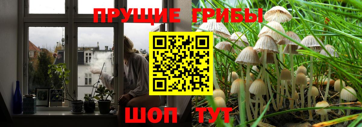 купить наркотик  Вход с VPN  Ливны  Галлюциногенные грибы MAGIC MUSHROOMS  Псилоцибиновые грибы Magic Shrooms 